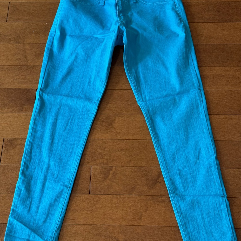 Flying Monkey Turquoise Denim